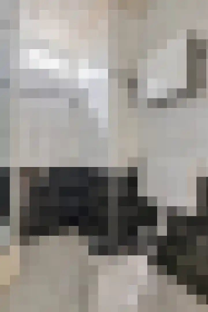 Vestapad 20 Son en Breugel thumbnail 33
