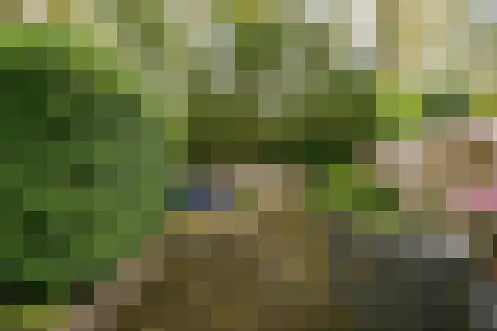 Vestapad 20 Son en Breugel thumbnail 37