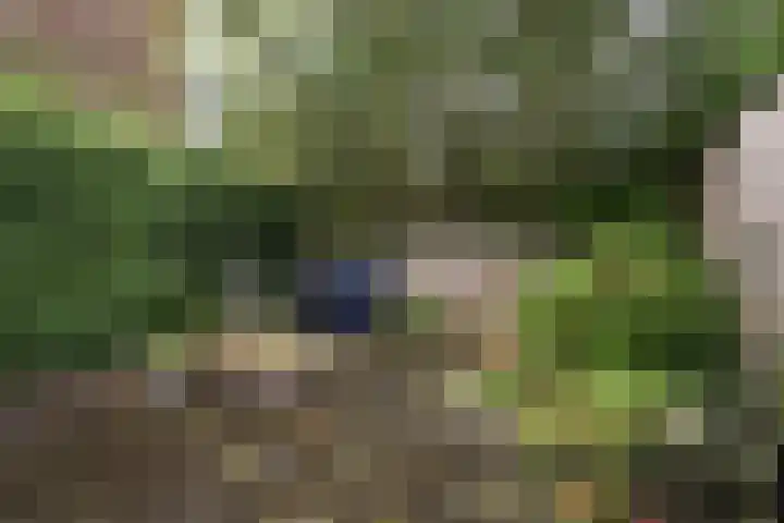 Vestapad 20 Son en Breugel thumbnail 38