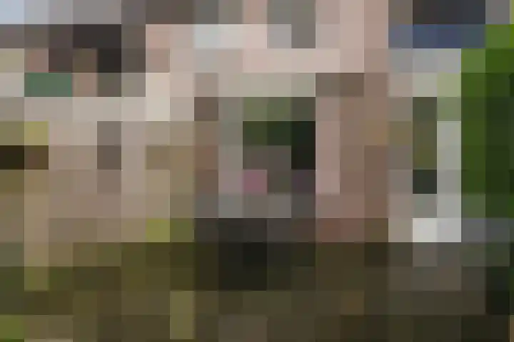Vestapad 20 Son en Breugel thumbnail 39