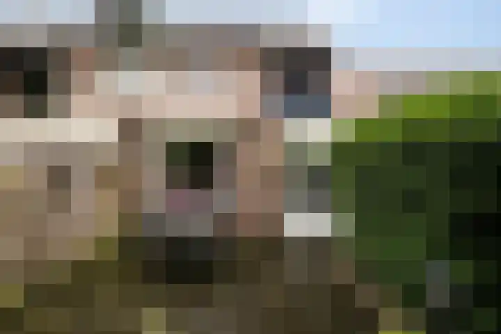 Vestapad 20 Son en Breugel thumbnail 40