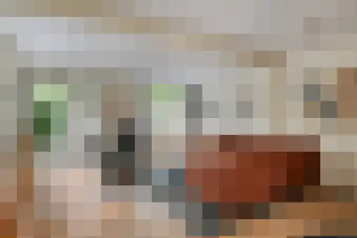 Vestapad 20 Son en Breugel thumbnail 5