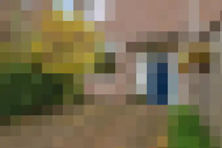 Vestapad 20 Son en Breugel thumbnail 6