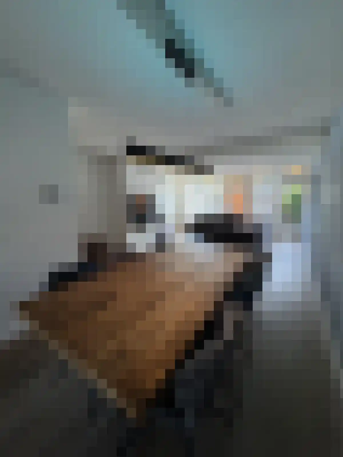 Vestapad 34 Son en Breugel foto 3