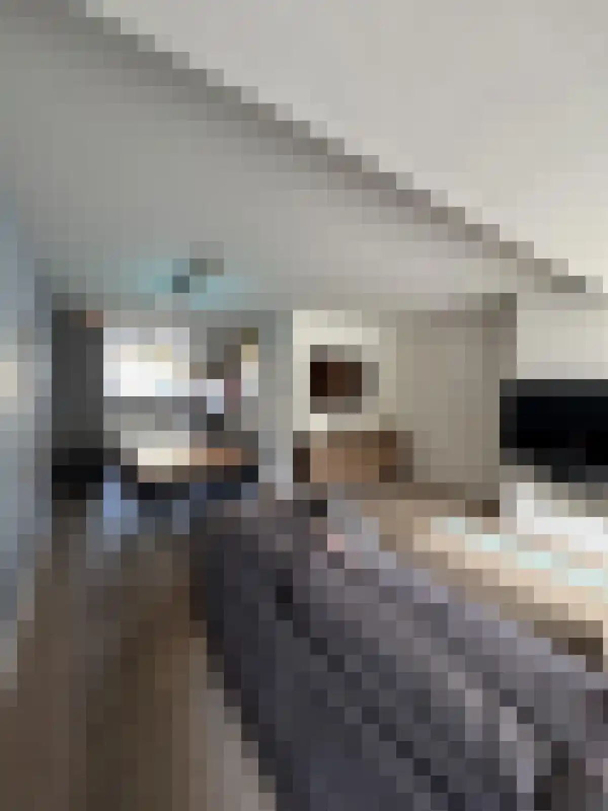 Vestapad 34 Son en Breugel thumbnail 5