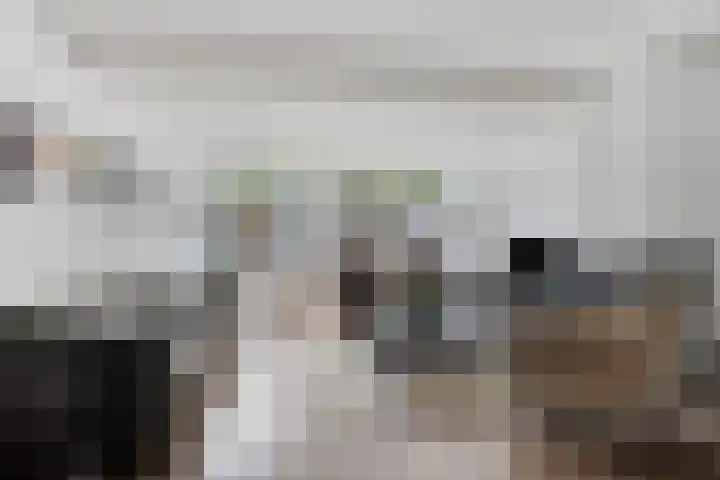 Vestapad 45 Son en Breugel thumbnail 14