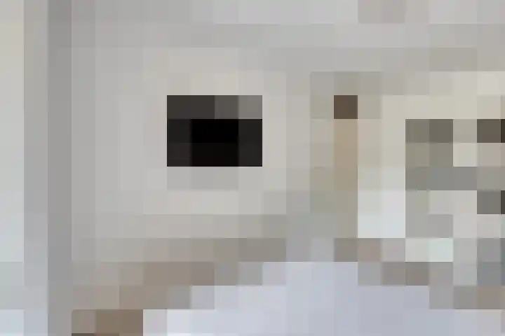 Vestapad 45 Son en Breugel thumbnail 19