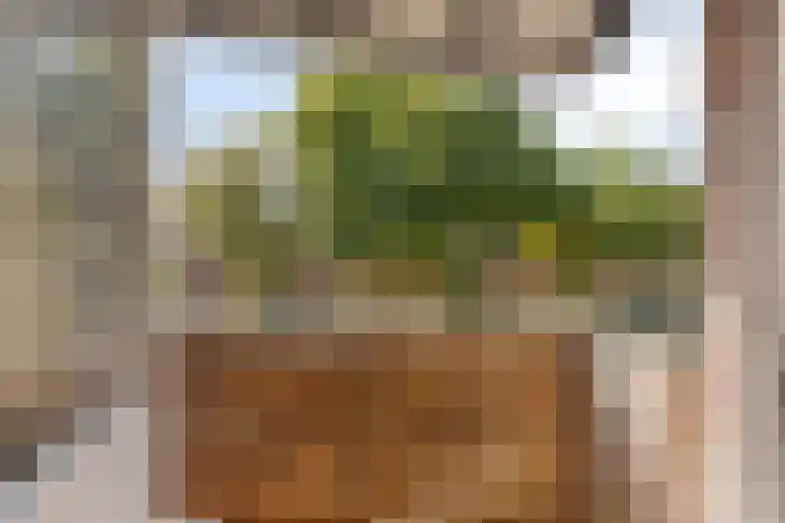 Vestapad 45 Son en Breugel thumbnail 20