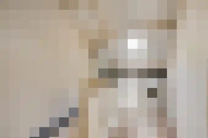 Vestapad 45 Son en Breugel thumbnail 28