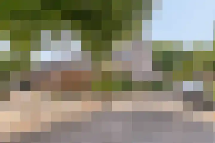 Vestapad 45 Son en Breugel thumbnail 41