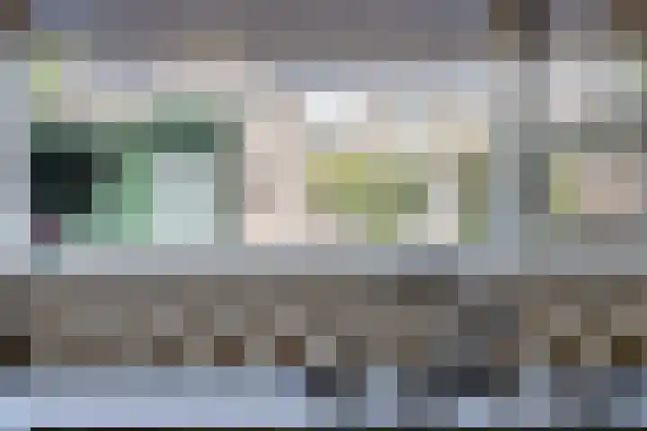 Vestapad 45 Son en Breugel thumbnail 8