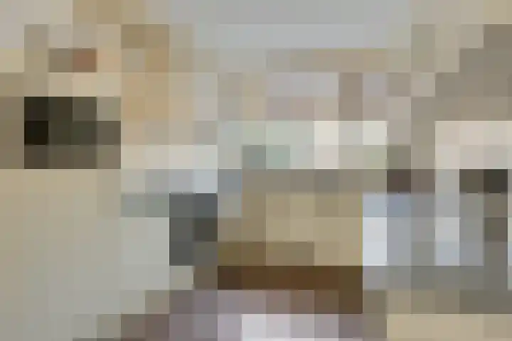 Vestapad 45 Son en Breugel thumbnail 9