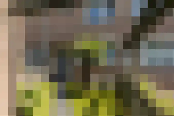 Vestapad 46 Son en Breugel thumbnail 10