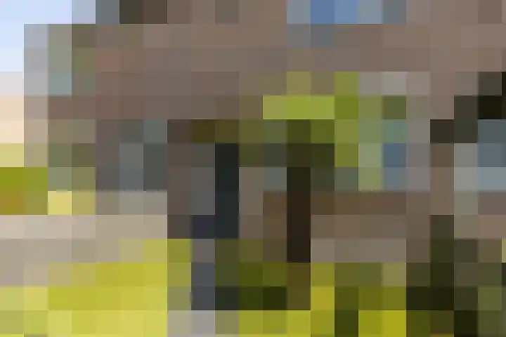 Vestapad 46 Son en Breugel thumbnail 11
