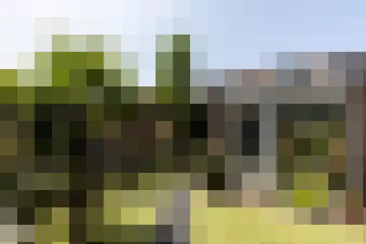 Vestapad 46 Son en Breugel thumbnail 13