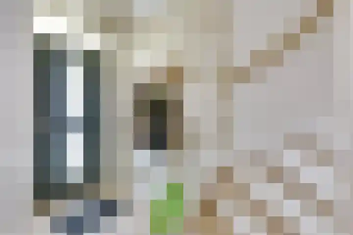 Vestapad 46 Son en Breugel thumbnail 14