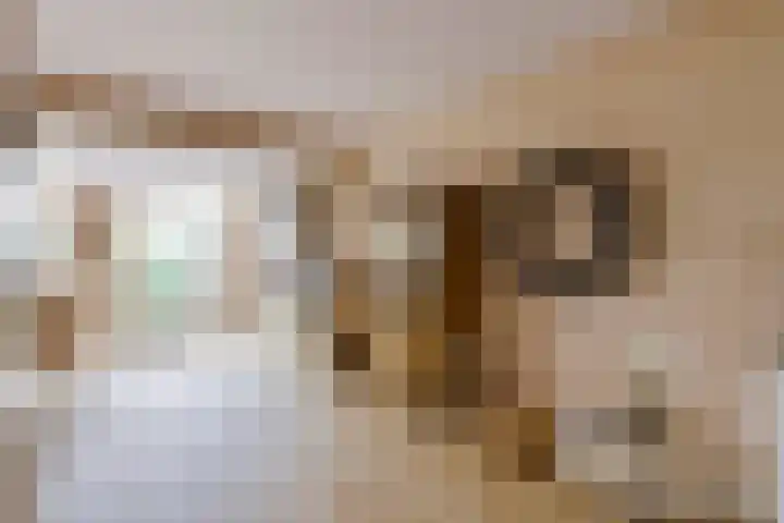 Vestapad 46 Son en Breugel thumbnail 16