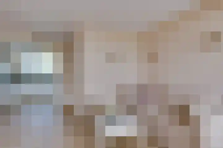 Vestapad 46 Son en Breugel thumbnail 20