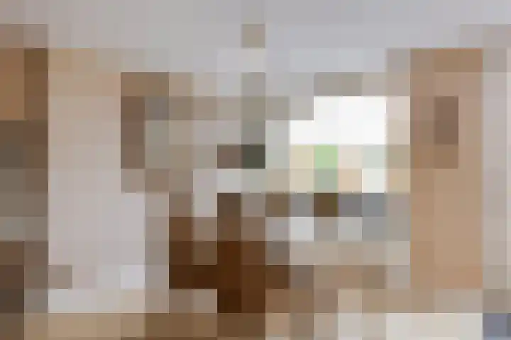 Vestapad 46 Son en Breugel thumbnail 22