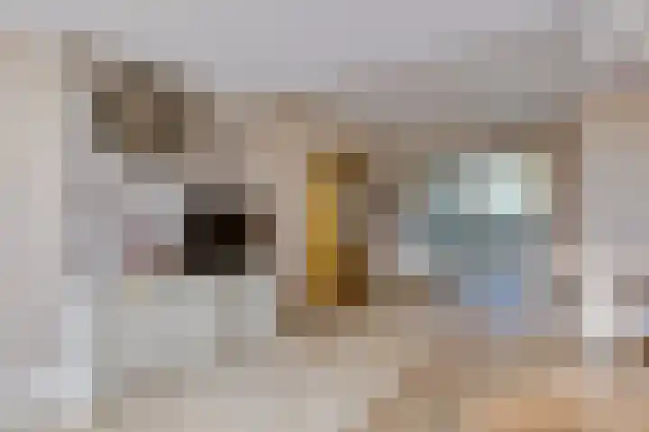 Vestapad 46 Son en Breugel thumbnail 23