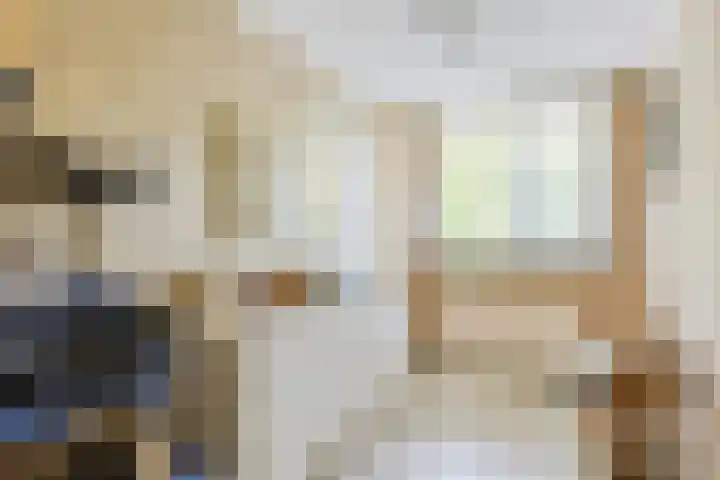 Vestapad 46 Son en Breugel thumbnail 35