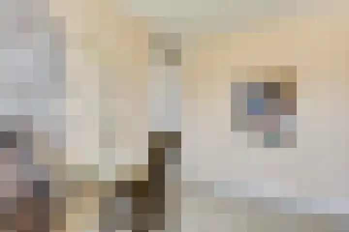 Vestapad 46 Son en Breugel thumbnail 38