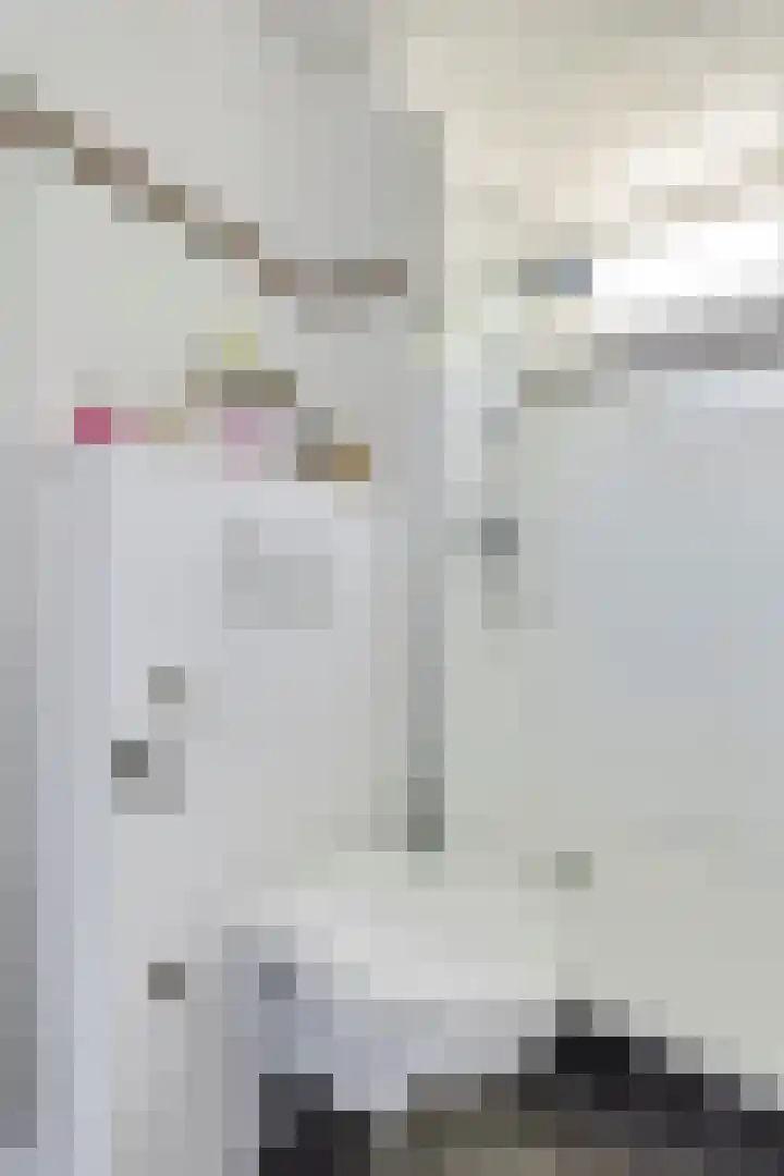 Vestapad 46 Son en Breugel thumbnail 40