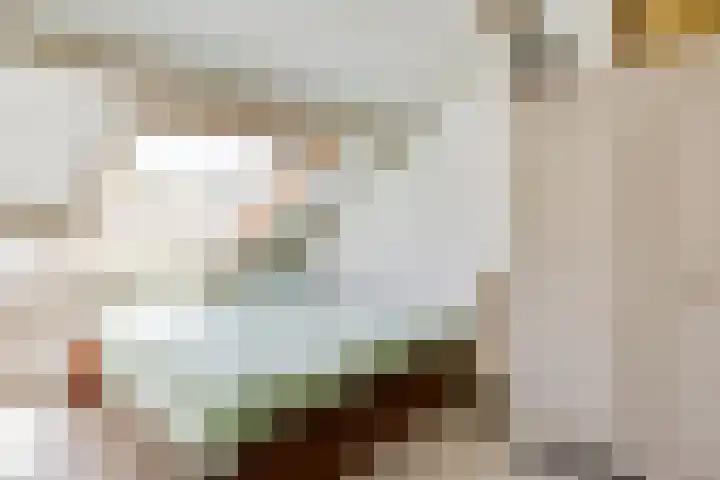 Vestapad 46 Son en Breugel thumbnail 43