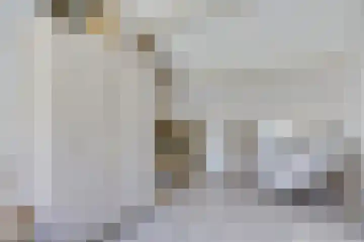 Vestapad 46 Son en Breugel thumbnail 44