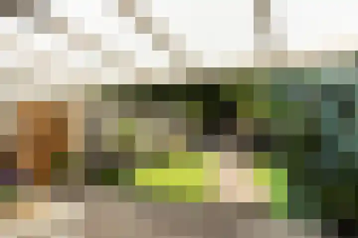 Vestapad 46 Son en Breugel thumbnail 46
