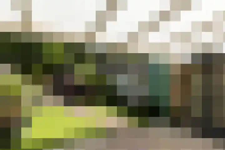 Vestapad 46 Son en Breugel thumbnail 47