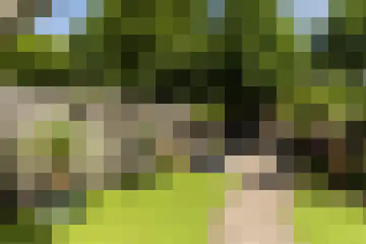 Vestapad 46 Son en Breugel thumbnail 48