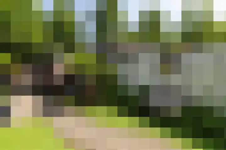 Vestapad 46 Son en Breugel thumbnail 49