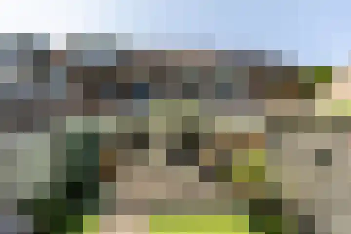 Vestapad 46 Son en Breugel thumbnail 5