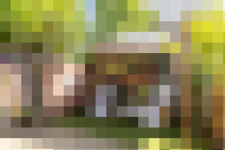 Vestapad 46 Son en Breugel thumbnail 50