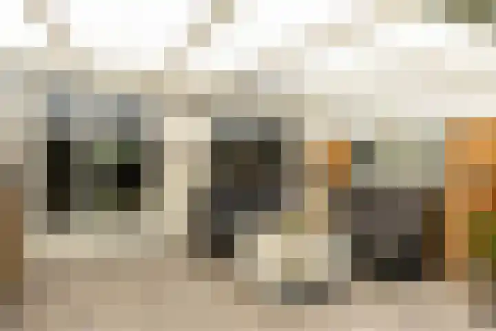 Vestapad 46 Son en Breugel thumbnail 51