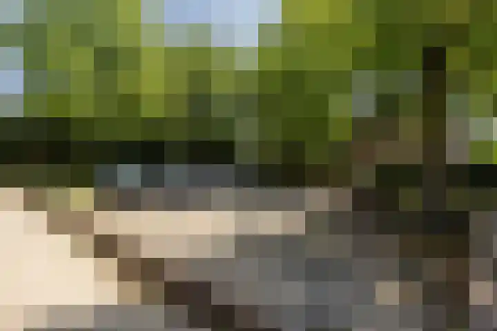 Vestapad 46 Son en Breugel thumbnail 9