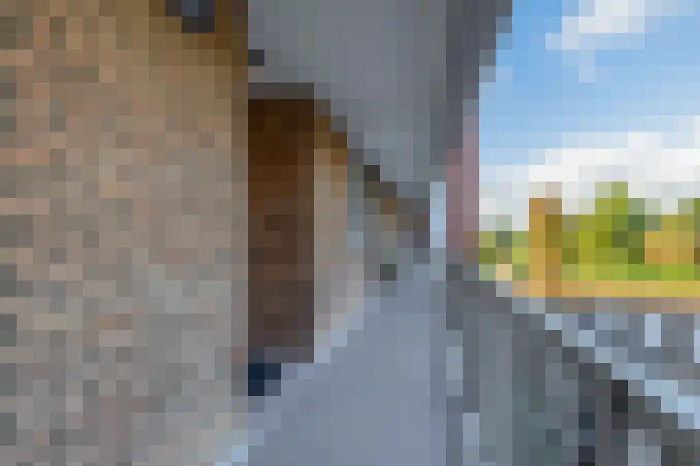 Vestaplein 16 Wormerveer thumbnail 15