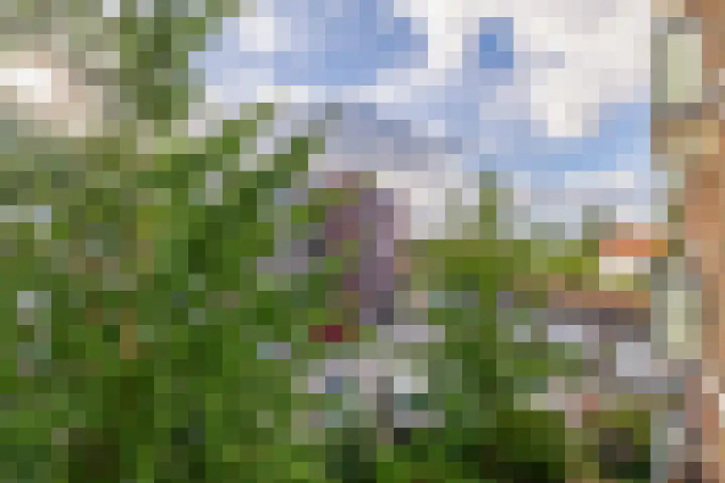 Vestaplein 16 Wormerveer thumbnail 6