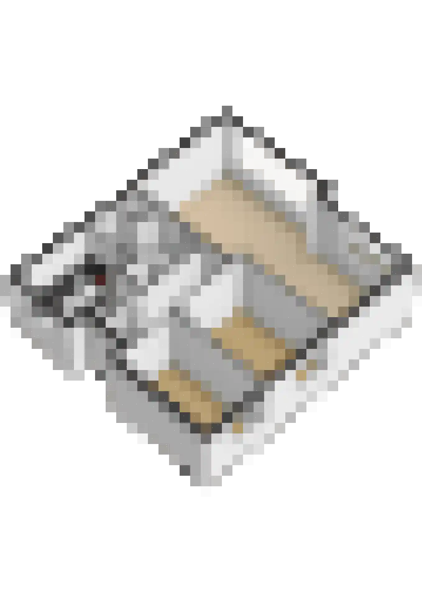 Vestaplein 18 Wormerveer thumbnail 34