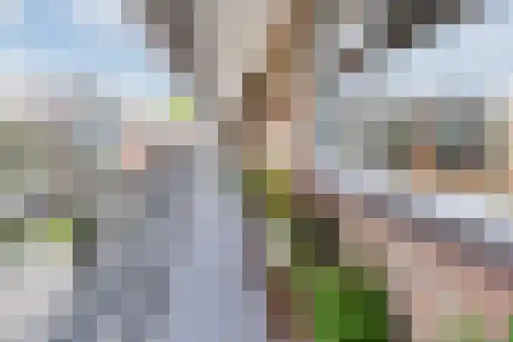 Vestaplein 23 Wormerveer thumbnail 39
