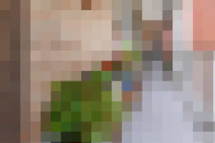 Vestaplein 23 Wormerveer thumbnail 40