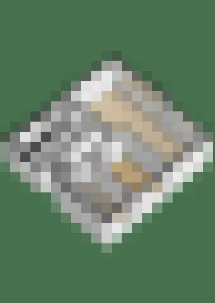 Vestaplein 24 Wormerveer thumbnail 31