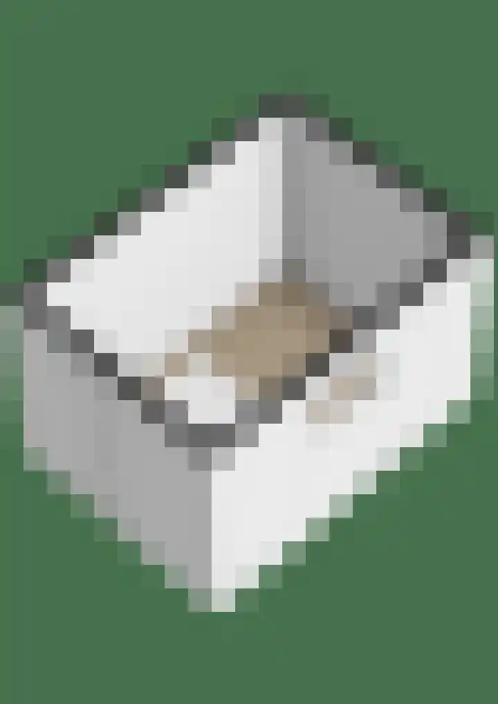 Vestaplein 24 Wormerveer thumbnail 33