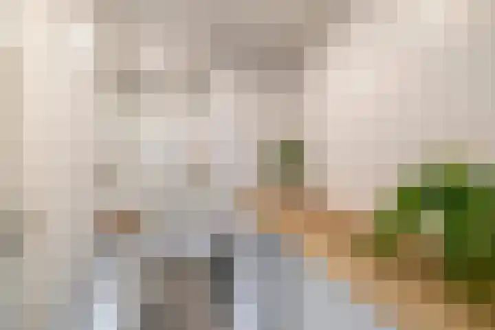 Vestaplein 24 Wormerveer thumbnail 4