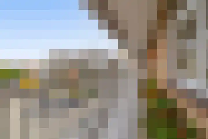 Vestaplein 24 Wormerveer thumbnail 7
