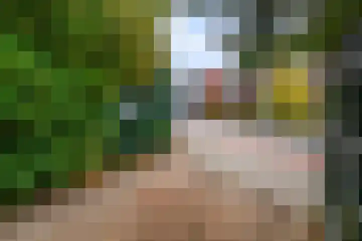 Vestaplein 27 Wormerveer thumbnail 27