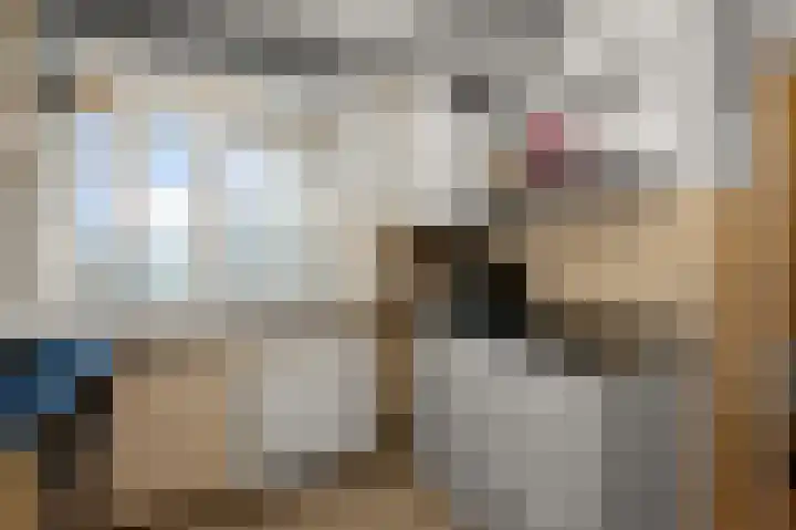 Vestaplein 32 Wormerveer thumbnail 15