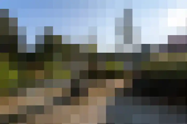 Vestaplein 32 Wormerveer thumbnail 31