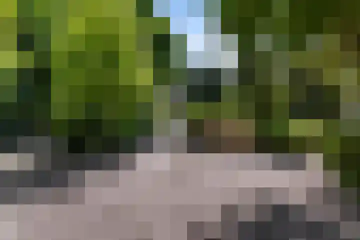 Vestaplein 32 Wormerveer thumbnail 32